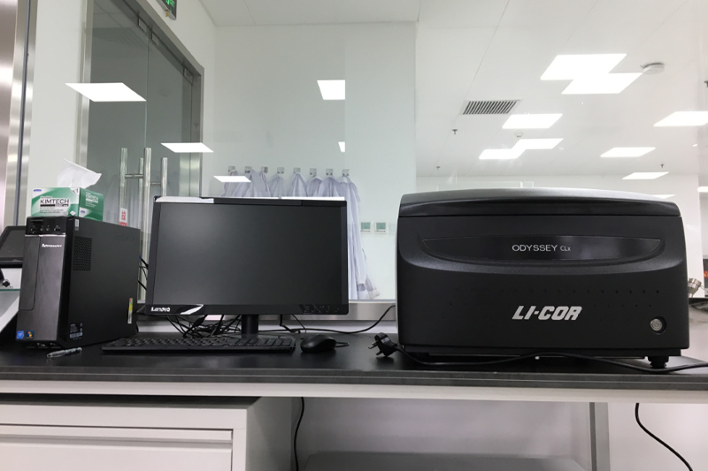 LI-COR Odyssey 近红外双色荧光成像系统